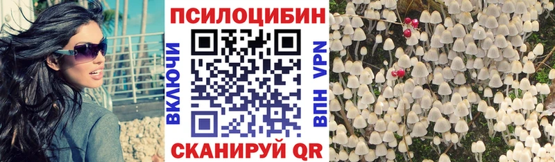 Псилоцибиновые грибы MAGIC MUSHROOMS  mega зеркало  Ужур 